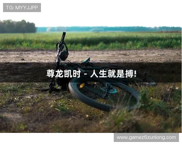 尊龙凯时人生就是搏下载官网打造公平公正的游戏环境保障玩家权益