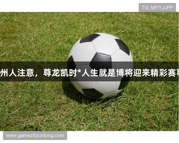 尊龙开始人生就是博：探索成功背后的智慧与策略